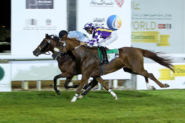 MH Tawag under UAE champion jockey Tadhg O’Shea
